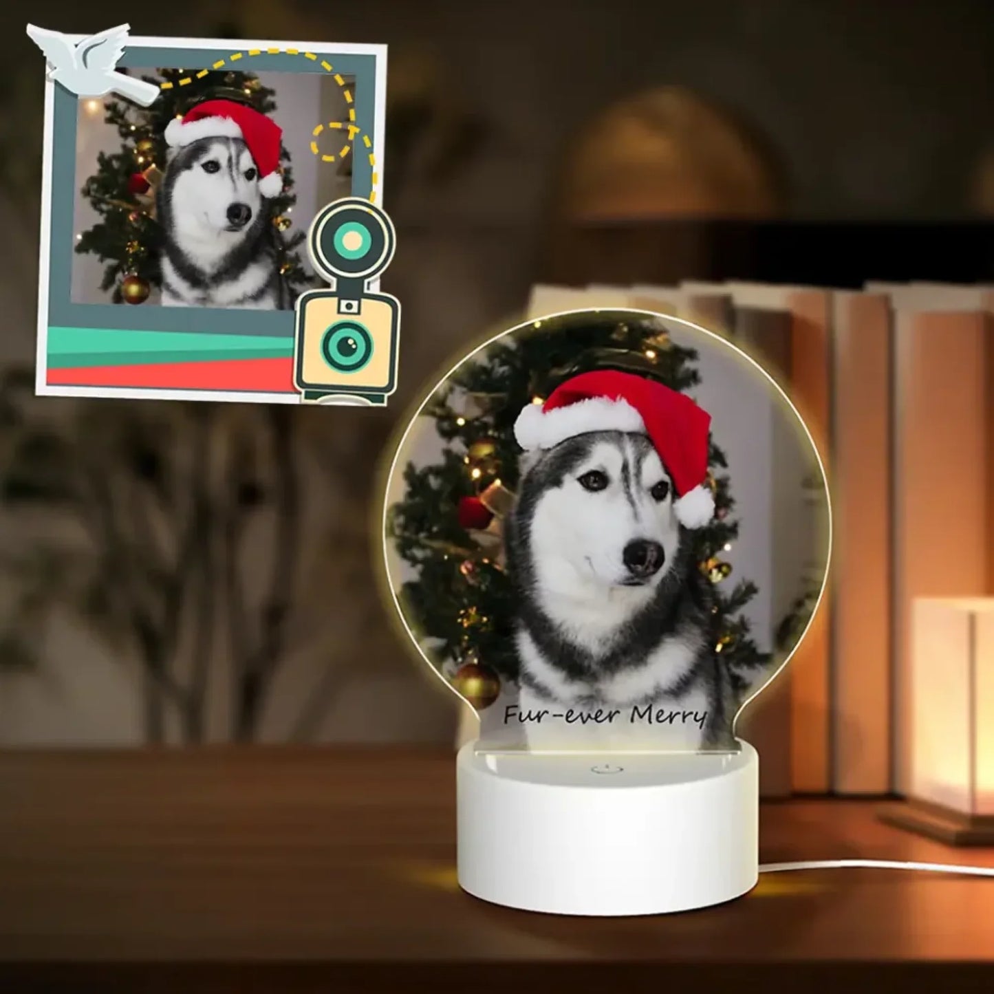 photo lamp for pet