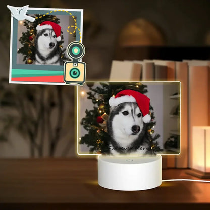 personalized night light for pet