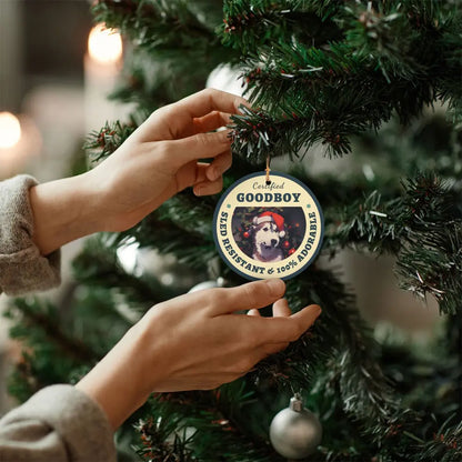 Person hanging custom Christmas tree ornaments with pet photo design on a beautifully decorated tree