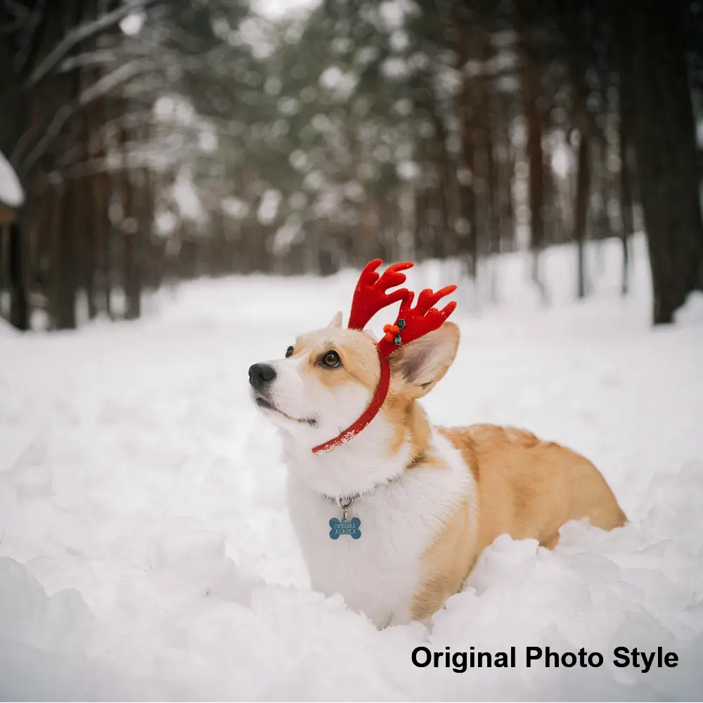 Glass photo ornament made with the original image to preserve photo clarity and detail